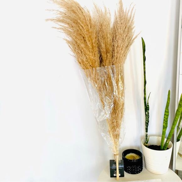 NEW TARGET Tan Cream Beige Dried Preserved Pampas Grass Floral Accent Decor - Picture 1 of 4